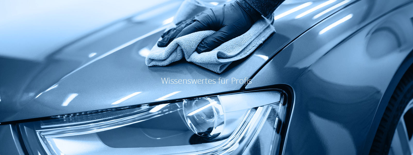 Service für Autohäuser und Werkstätten
